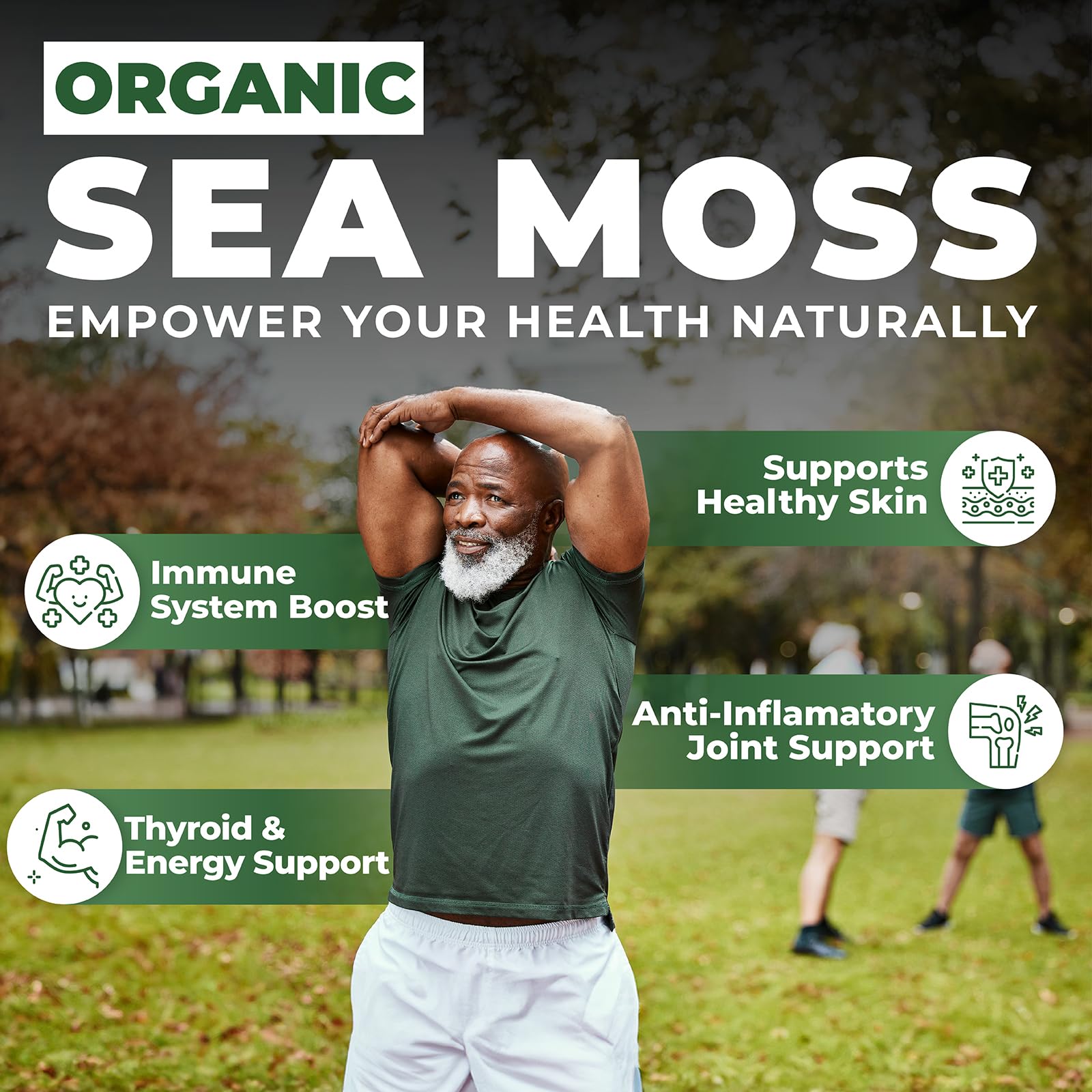 Organic Irish Sea Moss 160 Vegan Capsules | Includes Organic Seawrack & Burdo...